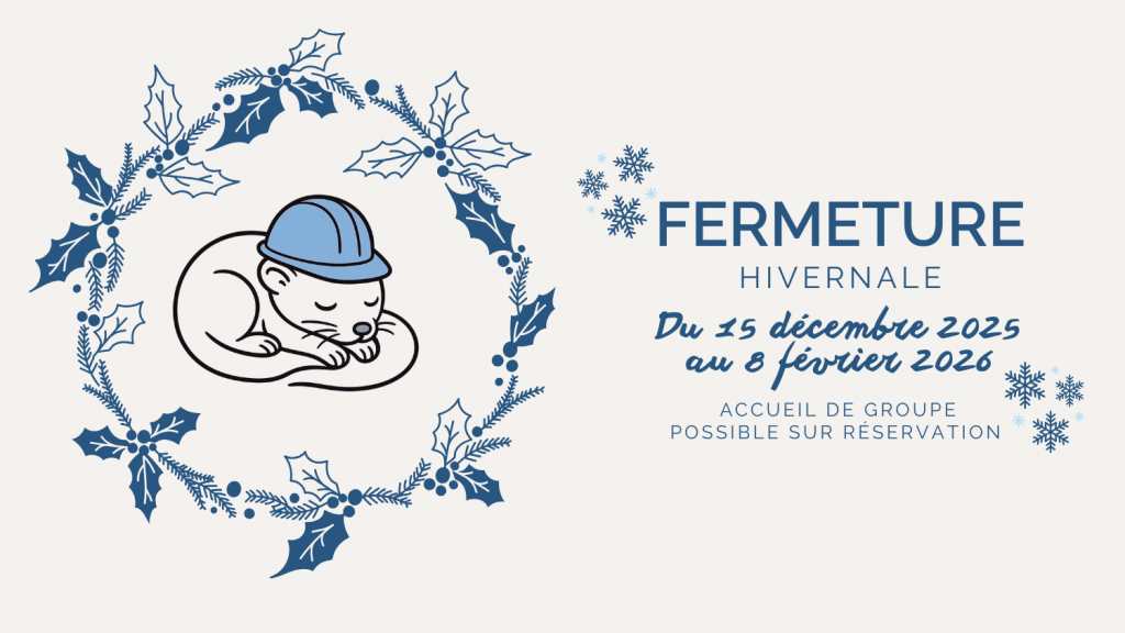 Visuel annonçant la fermeture hivernale. Le fond est blanc cassé. Le texte est en bleu, sur la droite. Il annonce la fermeture du 15/12/2025 au 08/02/2026. L'accueil de groupe étant possible sur réservation. Sur la gauche, une belette avec un casque de chantier dort. Elle est entourée par une couronne de gui. 